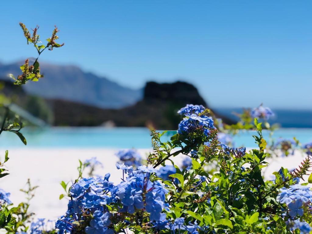 Paraisos De Agaete Puerto de Las Nieves Luaran gambar